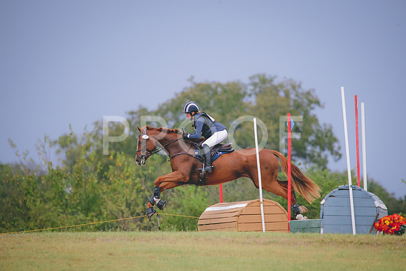 RWP_3919