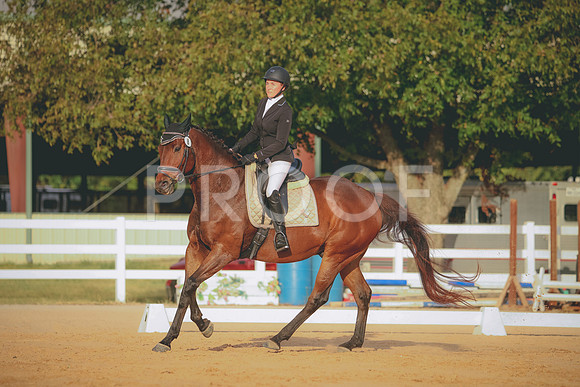 RWP_2166