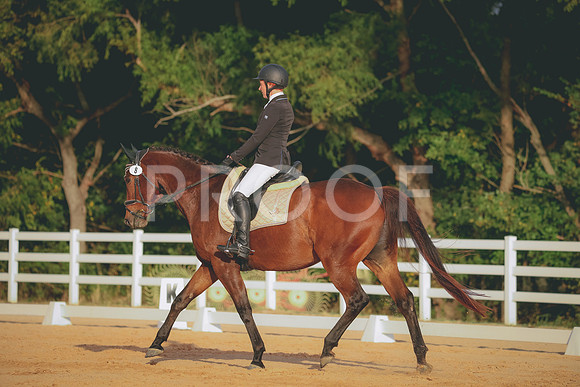 RWP_2169