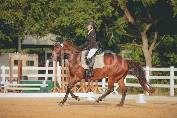 RWP_2163