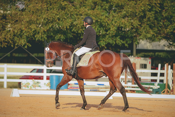 RWP_2173