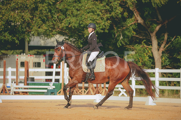 RWP_2164