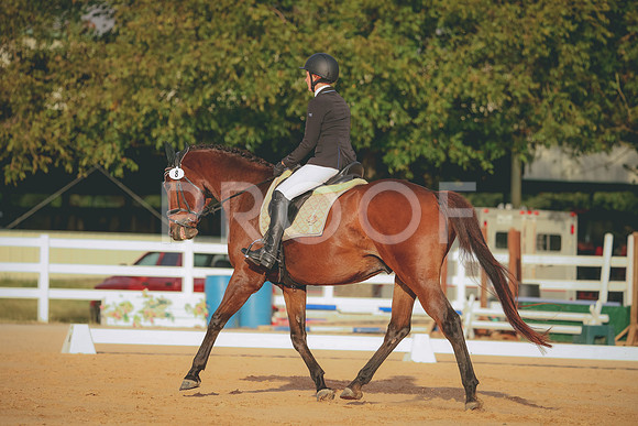 RWP_2174