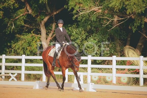 RWP_2177
