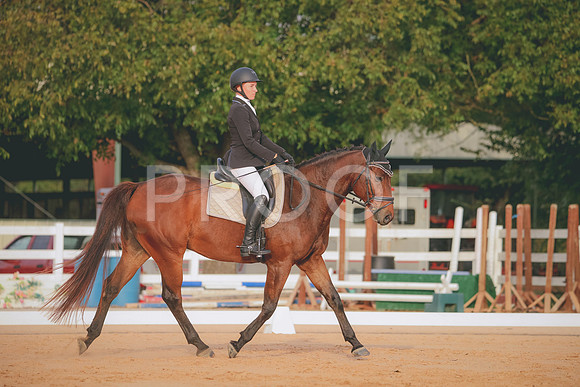 RWP_2186