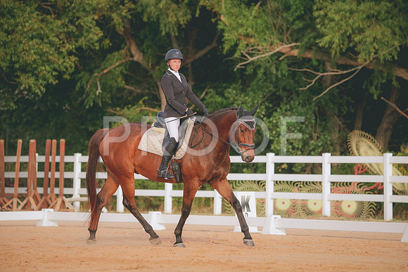 RWP_2189
