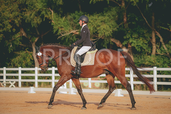 RWP_2181