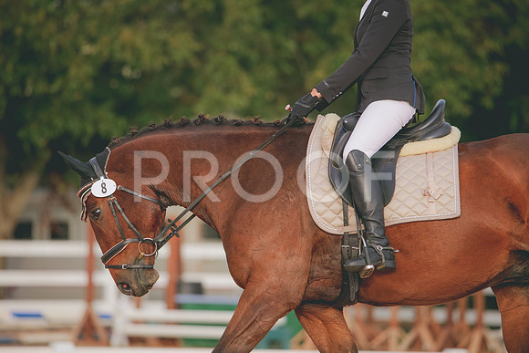 RWP_2197