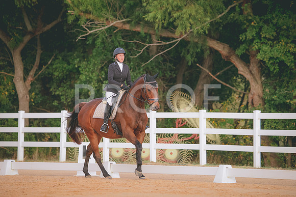 RWP_2203