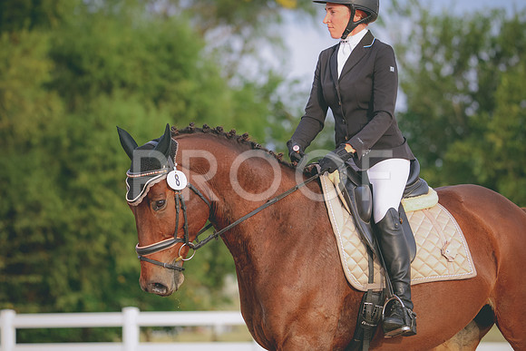 RWP_2209