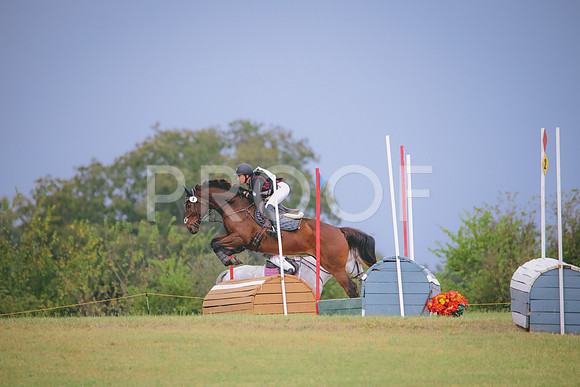 RWP_3930
