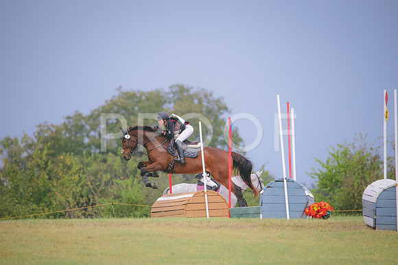 RWP_3931