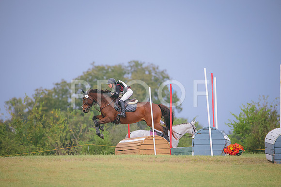 RWP_3932