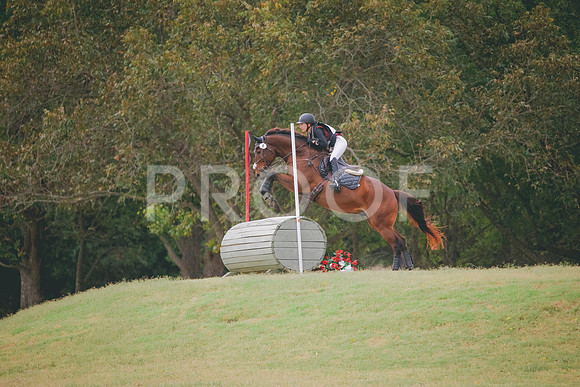 RWP_3943
