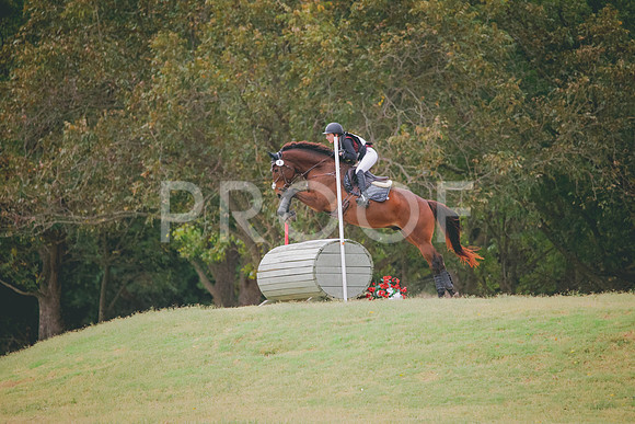 RWP_3944