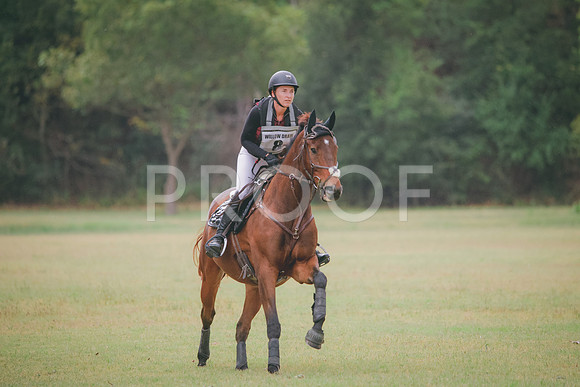RWP_3947