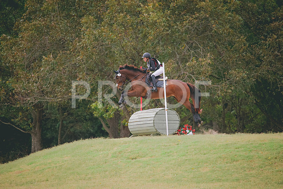 RWP_3946
