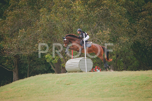 RWP_3945