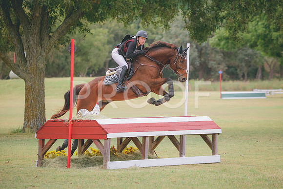 RWP_3952