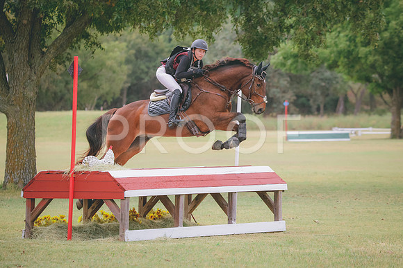 RWP_3953