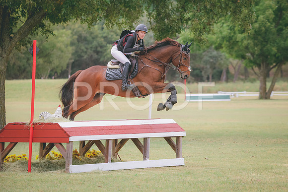 RWP_3954