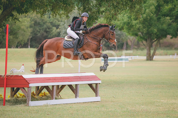 RWP_3955
