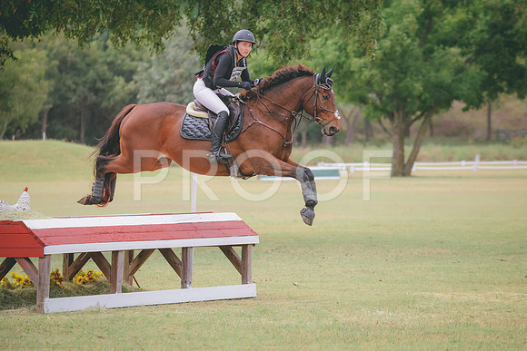 RWP_3956