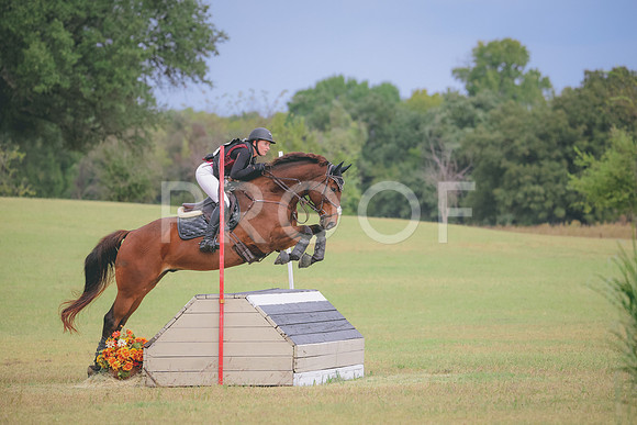 RWP_3958