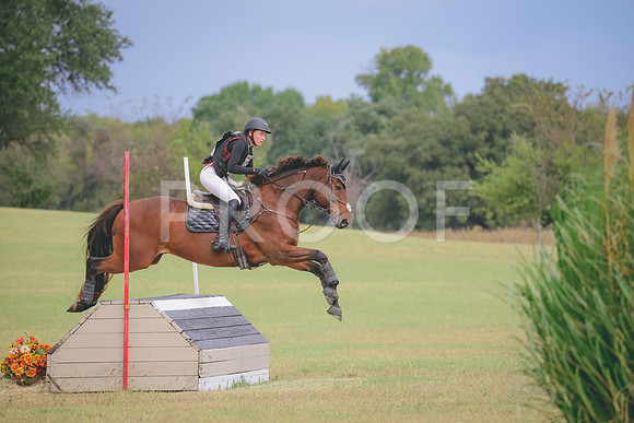 RWP_3961