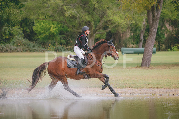 RWP_3963