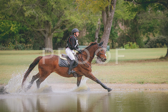 RWP_3966