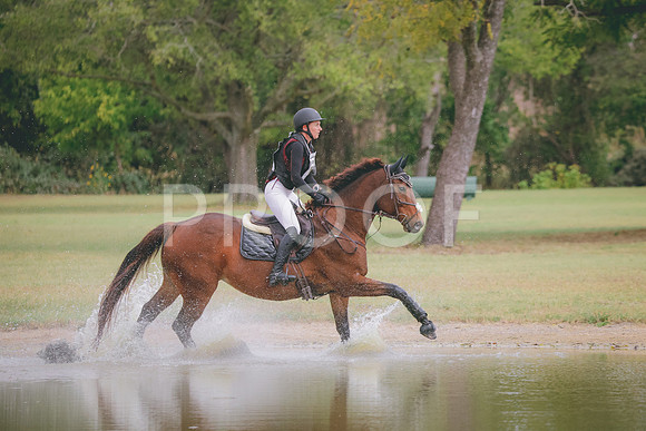 RWP_3965