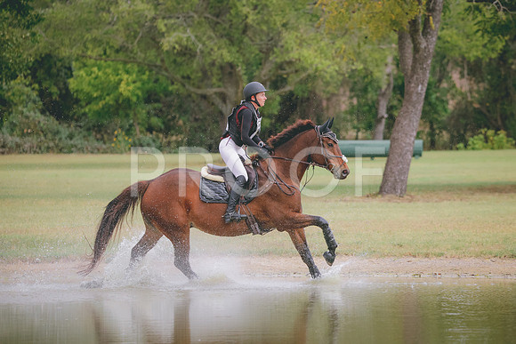RWP_3964