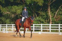 RWP_2227