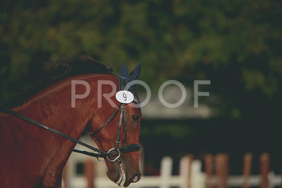RWP_2234