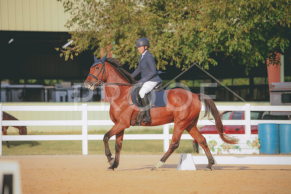 RWP_2233