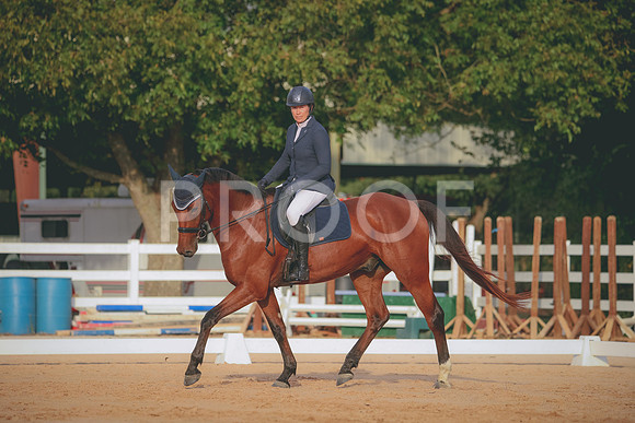 RWP_2231