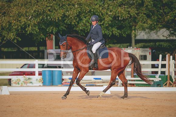RWP_2239