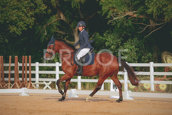 RWP_2237