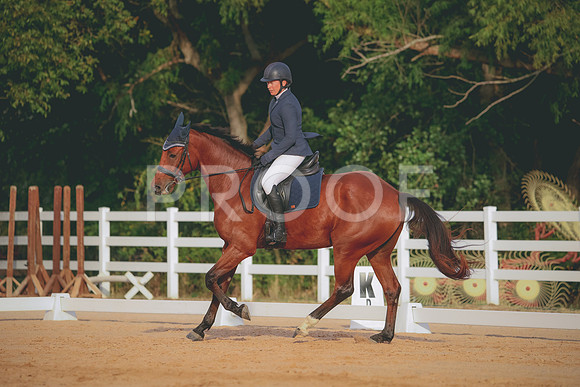 RWP_2236