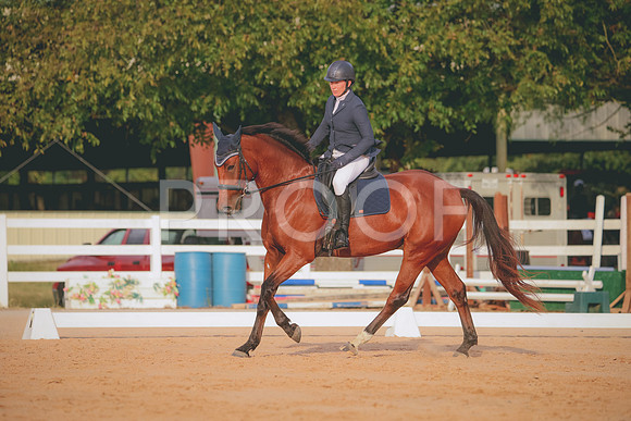 RWP_2240