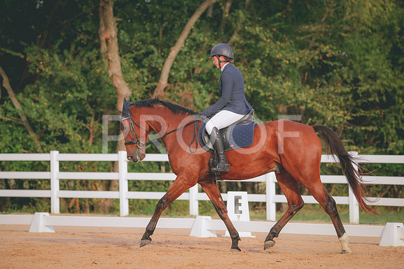 RWP_2243