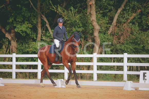 RWP_2267