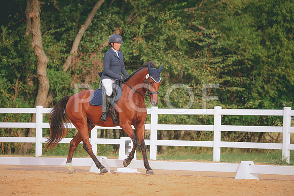 RWP_2273