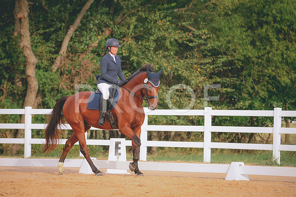 RWP_2274