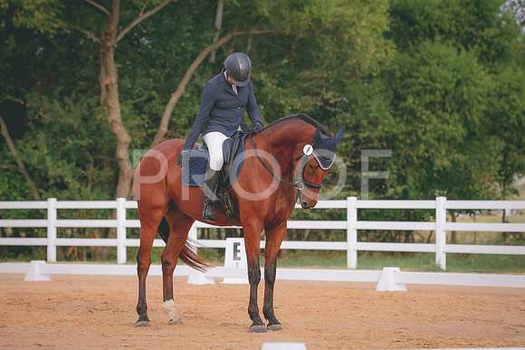 RWP_2286
