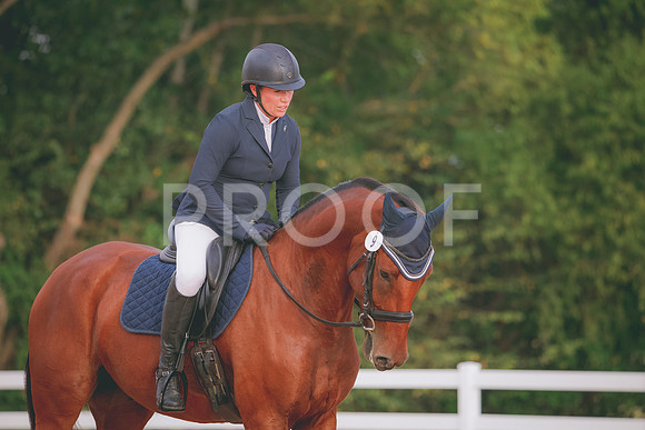 RWP_2288