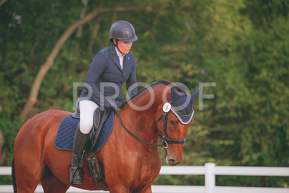 RWP_2289