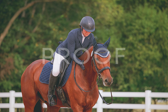 RWP_2291