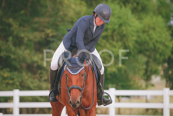 RWP_2293